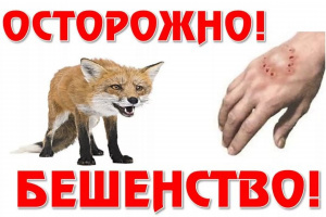 28 сентября – Всемирный день против бешенства