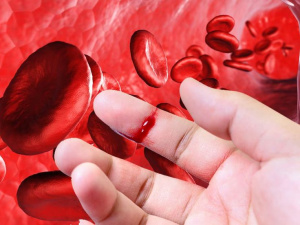           17 апреля - Всемирный день борьбы с гемофилией