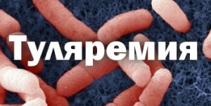 В БУ «Няганская городская поликлиника» стартовала вакцинация против туляремии