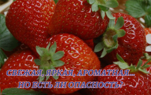 На прилавках в магазинах появилась первая привозная клубника…