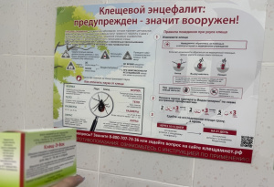 Февраль- время  защитить себя от клещевого энцефалита