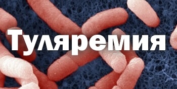 В БУ «Няганская городская поликлиника» стартовала вакцинация против туляремии В БУ «Няганская городская поликлиника» стартовала вакцинация против туляремии