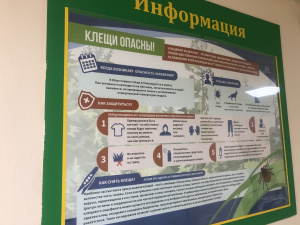 Клещи становятся все активнее