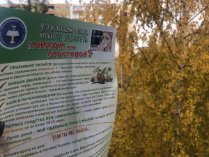 Достаточное количество антител к вирусу гриппа накапливается в человеческом организме примерно через 2 недели после прививки