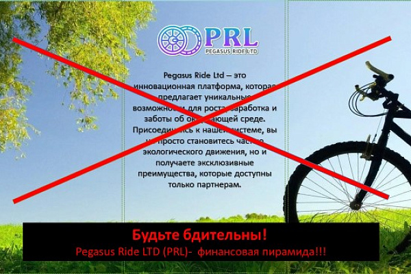 НОВЫЙ ВИД МОШЕННИЧЕСТВА - ФИНАНСОВАЯ ПИРАМИДА Pegasus Ride LTD (PRL)