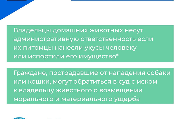 Что делать если укусила собака?