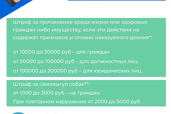 Что делать если укусила собака?