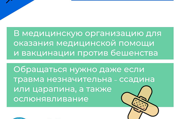 Что делать если укусила собака?