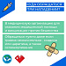 Что делать если укусила собака?