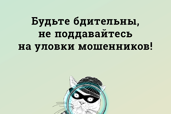 Профилактика мошенничества